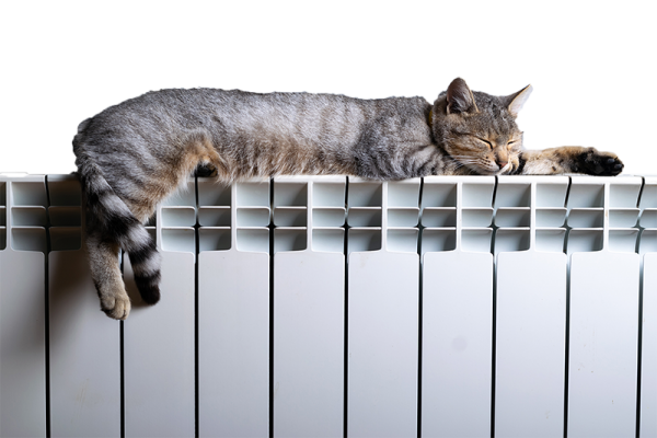 tiger-cat-relaxing-warm-radiator